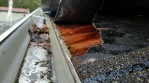 Salem Roof Repairs