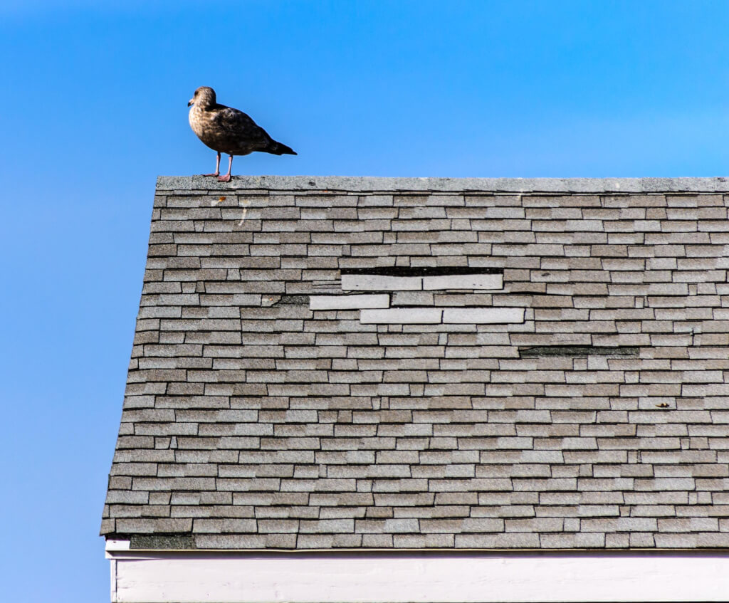 Five Signs Of A Failing Roof