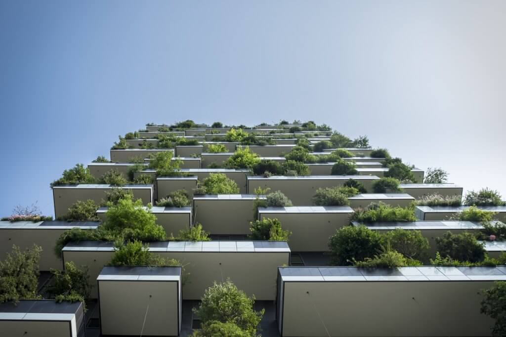 Green roofing installed in urban area